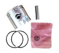 Chainsaw Piston Kit 34mm Fits for G2500 G2500TS Cylinder Assembly 25CC Zylinder Ring Pin Cir Clips Assy(Double Piston Ring)