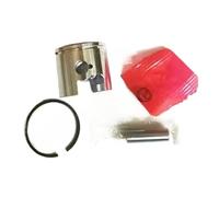 Chainsaw Piston Kit 34mm Fits for G2500 G2500TS Cylinder Assembly 25CC Zylinder Ring Pin Cir Clips Assy(Single Piston Ring)
