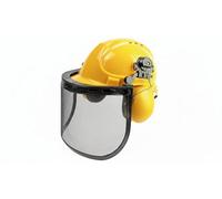 Chainsaw Safety Helmet With Steel Mesh Visor And Ear Protection