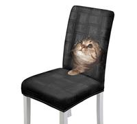 Chair Covers Black Brown Cat Dining Chair Covers Stretch Spandex Washable Reusable Dining Chairs Cover Removable Chairs Slipcovers Universal Protector for Kitchen, Party, Home Decor Set of 8