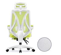 Chair， Zero Swivel Gamiracichair with High Back for Games,Office Chair for Pc,Adjustable Lumbar Support/White Frame Blue Net(White Frame Green Net)