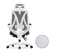 Chair， Zero Swivel Gamiracichair with High Back for Games,Office Chair for Pc,Adjustable Lumbar Support/White Frame Blue Net(White Frame Black Net)