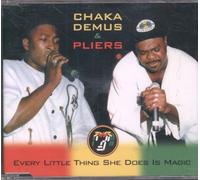 Chaka Demus and Plier - Every Little Thing She...