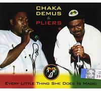 Chaka Demus & Pliers - Every Little Thing She...
