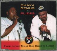 Chaka Demus & Pliers - Every Little Thing She Does