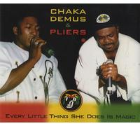 Chaka Demus & Pliers - Every Little Thing She Does