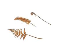 CHAKAE Rusty Stake Fern Leaves Statue Tree With Realistic Rusted Leaves For Home And Garden Parterre Enhancement Metal Garden Decors