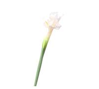 CHAKEUZND Fake Flowers, Pack Of 4 Artificial Iris Flower Arrangement Multicolor 70cm Height 7-10cm Diameter(White)