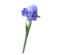 CHAKEUZND Fake Flowers, Pack Of 4 Artificial Iris Flower Arrangement Multicolor 70cm Height 7-10cm Diameter(Blue)