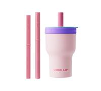 CHAKO LAB Insulated Stainless Steel Water Bottle | Dual-layer tumbler with Glass Linner and Stainsteel Linner | BPA-Free Leak Proof Thermos | 20oz Bottle with Two Straw | Pink & Purple