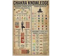 Yunking Chakra Knowledge Poster Multi Wall Décor Art Gift for Yogaer Chart Metal Tin Sign School Signs 8x12 Inch