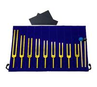 Chakra Tuning Fork Set - Tuning Plug Percussion Gift Musical Instrument with Velvet Bag, Ideal for Yoga Meditation Sound Healing (Color : Gold 9-piece set)