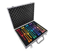 Chakra Tuning Fork Set, Weighted Tuning Forks of 8 Color,7 Chakra and 1 Soul Purpose Tuning Forks for DNA Healing, Sound Therapy, Yoga, Meditation