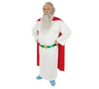 Chaks - Licensed Panoramix 3-Piece Costume, Mens, CS964197/M, Size M