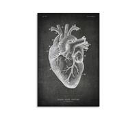Chalkboard Anatomy Human Heart Posters Art Posters Body Art Poster Artworks Canvas Poster Wall Art Prints Home Modern Decor 08x12i