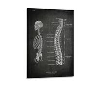 Chalkboard Anatomy Spinal Column Posters Art Posters Body Art Poster Human Anatomy Canvas Wall Art Prints Poster Photo Picture Pai