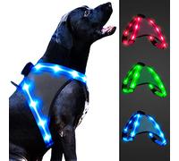 ChalkLit LED Dog Harness, Luminous Rechargeable Illuminated Reflective Dog Harness, Glows in the Dark, LED Dog Safety Vest Lights for Night Walks (Blue, L)