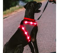 ChalkLit LED Dog Harness, Luminous Rechargeable Illuminated Reflective Dog Harness, Glows in the Dark, LED Dog Safety Vest Lights for Night Walks (Pink, L)