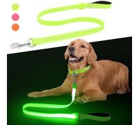 ChalkLit LED Dog Lead, Illuminated USB Rechargeable Dog Lead, 1.2 m, Soft, Waterproof, Reflective, for Night Walks, for Large, Medium Pets, Flashing