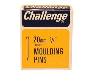 Challenge Moulded Moulding Pins Silver (20mm)