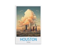 Challenging Puzzles,Houston Texass,Impossible Difficult Hard Fun 1000 Piece Jigsaw Puzzles for Adults 52x38cm
