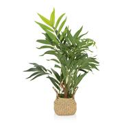 CHAMAEDOREA - Artificial plant Green
