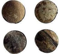 Chamalongos Set of 4 | IFA Yoruba Santeria Palo Divination Tool