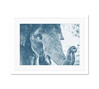 Chambon Elephant Close-up Trunk Blue Large Art Print Poster Wall Decor 18x24 inch Supplied Ready To Hang With Included Mount Brackets