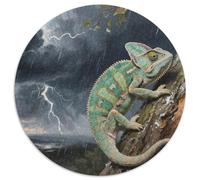 Chameleon 1000 Piece Wildlife Jigsaw Puzzles Impossible Puzzle Beautiful Decoration for Adults And Kids 1000pcs (67.5x67.5cm)