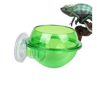 Chameleon Bowl, Feeding Bowl for Reptiles, Translucent Leak-Proof Container for Living Forage - Feeding Water Bowls for Reptiles, Gecko Rim Bowl for Terrarium Inhabitants