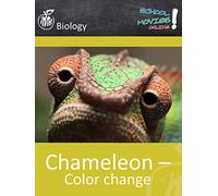 Chameleon - Color change - School Movie on Biology