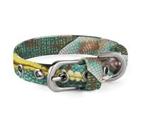 Chameleon Dog Collar Adjustable Soft and Comfortable Puppy Collars with Metal Buckle Pet Collar for Small Medium Pet
