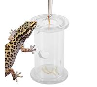 Chameleon Feeder,Slow Feeding Interactive Cylinder - Clear Bearded Dragon Parakeet Foraging Toys - for Bird Gecko Lizard Parrot Chameleon Cockatiel Small Animal
