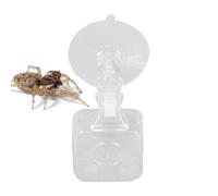 Chameleon Food Bowl, Reptile Feeder Suction Cup, Anti-Spill Water Tray, Habitat Decor Feeding Dish for Lizards, Tree Frogs, Spiders, Chameleons, Terrarium, Vivarium, Glass Wall