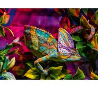 Chameleon - Highlight Puzzle - Colorful Animals
