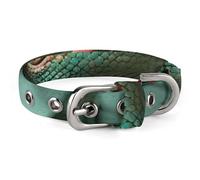 Chameleon Listen Music Pet Collar Easy Snap on Buckle Adjustable Collar with 5 Hole Positions Training Collar for Large Medium and Small Pets,Pet Supplies,Stuff,Accessories