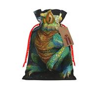 Chameleon listen music Printed Christmas Drawstring Bags Reusable Bag for Party Xmas Gift Wrapping, Red Ribbon, S