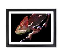 Chameleon Lizard No.3 Modern Framed Print | A3 Black Framed Wall Art | Ready to Hang | Modern Nature Picture | Living Room Bedroom Lounge Office
