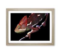 Chameleon Lizard No.3 Modern Framed Wall Art Print, Ready to Hang Picture for Living Room Bedroom Home Office Décor, Oak A2 (64 x 46 cm)