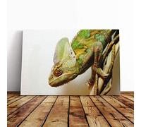 Chameleon Lizard Reptile (3) Canvas Print | Gallery Wrapped 30mm Frame Wall Art | 24x16 inches | Ready to Hang | Modern Animals Picture | Living Room Bedroom Lounge Office