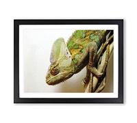 Chameleon Lizard Reptile No.3 Modern Framed Print | A4 Black Framed Wall Art | Ready to Hang | Modern Nature Picture | Living Room Bedroom Lounge Office