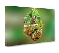 Chameleon Lizard Reptile No.7 Canvas Print | Gallery Wrapped 30mm Frame Wall Art | 20x14 inches | Ready to Hang | Modern Animals Picture | Living Room Bedroom Lounge Office