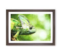 Chameleon Lizard Vol.1 Painting Framed Print | A2 Walnut Framed Wall Art | Ready to Hang | Modern Historical Picture | Living Room Bedroom Lounge Office
