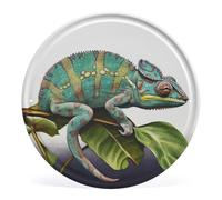 Chameleon Metal Tin Signs Funny Vintage Iron Sign Round Metal Plaque Decor Hanging Wall Art Poster Print Pattern Iron Painting for Indoor Outdoor Home