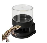 Chameleon Water Fountain - 2.4 Inches PC PET Reptile Drinking Bowl, Terrarium Drinking Fountain, Reptile Water Dispenser | Hydration Feeder, Build, 40ml Capacity For Bearded Dragon Gecko Tur