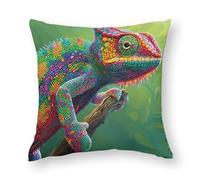 Chameleon with Rainbow Color Pillowcases Soft Throw Pillow Covers Body Cushion Protective Case for Sofa Car Home Decor