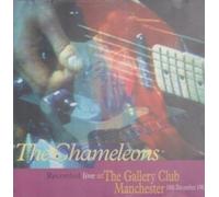 Chameleons - Live At The Gallery Club, Manchester, 18th December 1982