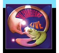Chameleons, the - Live