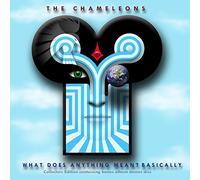 Chameleons - What Does Anything Mean? Basically
