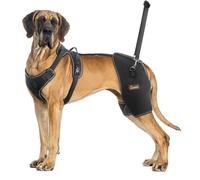 CHAMIN Dog Hip Brace with Back Handheld Design, Support for Hip Dysplasia, Arthritis, Back Leg limping, Reduce Hip Pain & Accelerated Recovery After Surgery etc(Extra Extra Large)